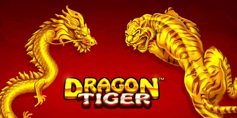 Quy tắc, cách chơi Rồng Hổ